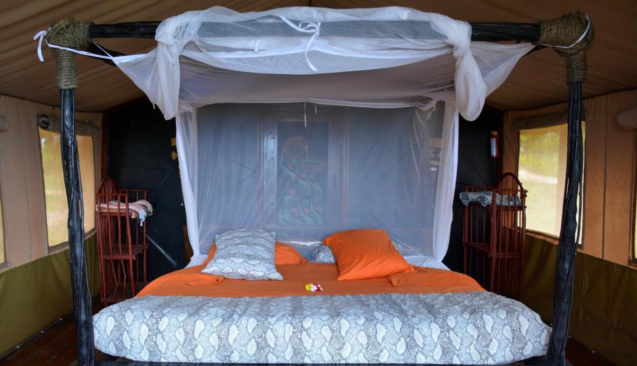Shimba Hills Green Safari Lodge Kwale Eksteriør bilde