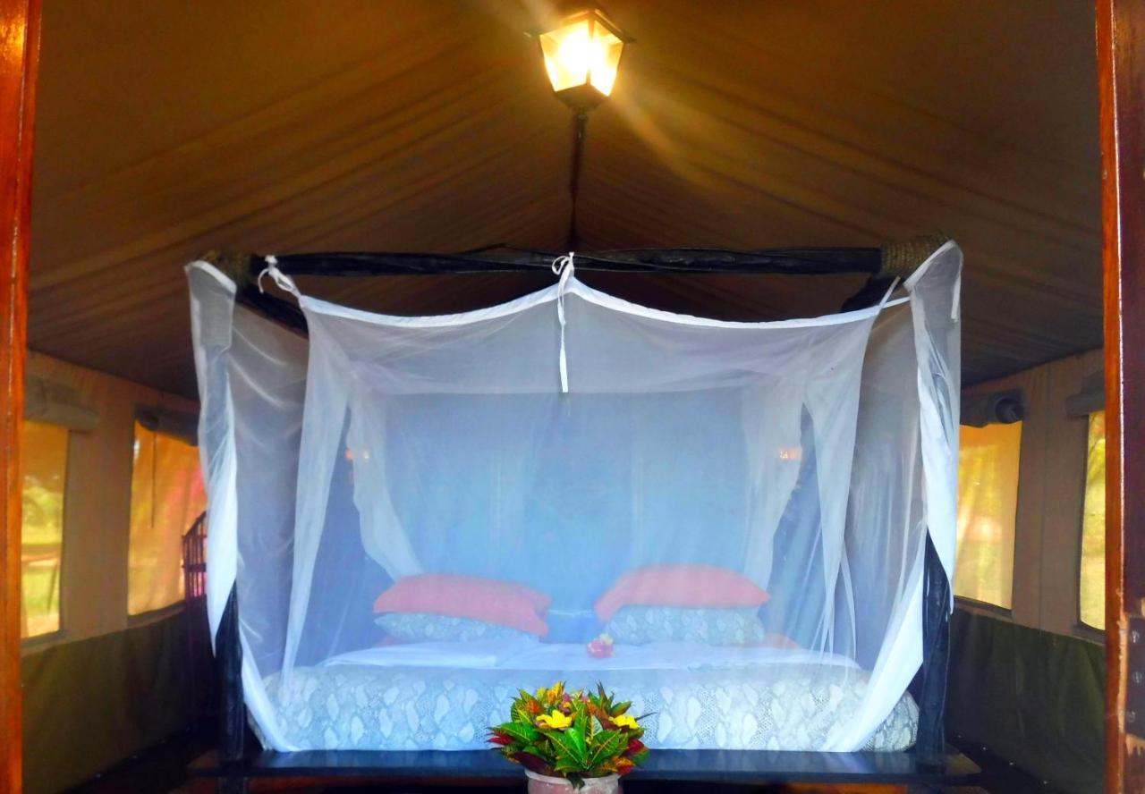 Shimba Hills Green Safari Lodge Kwale Eksteriør bilde