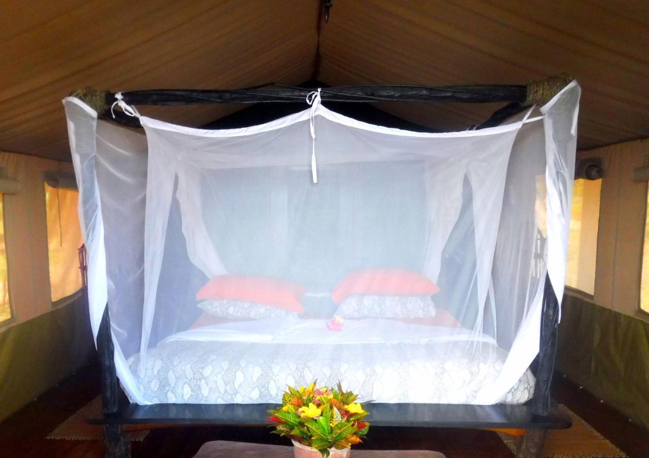 Shimba Hills Green Safari Lodge Kwale Eksteriør bilde
